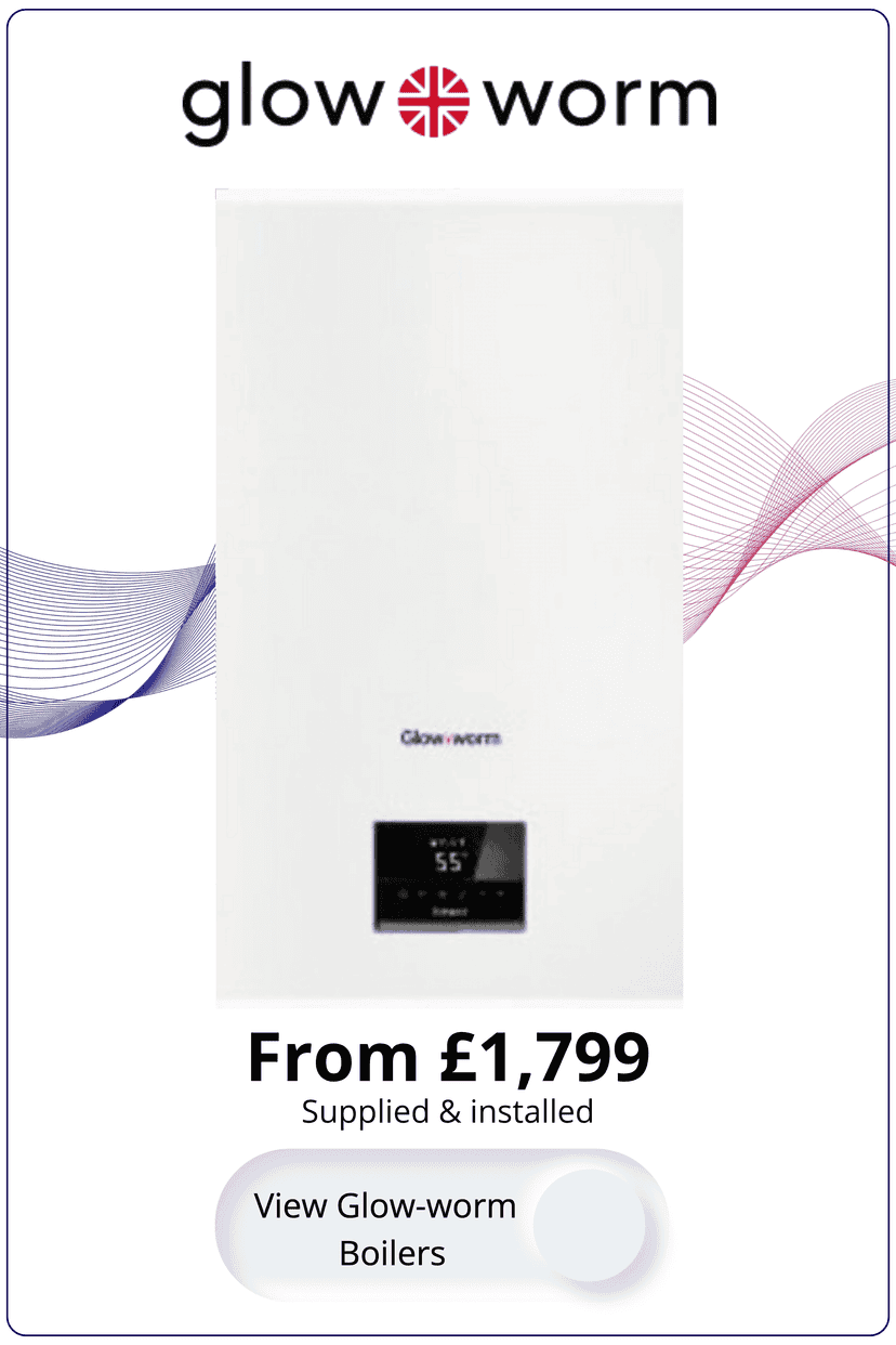 Glow-worm